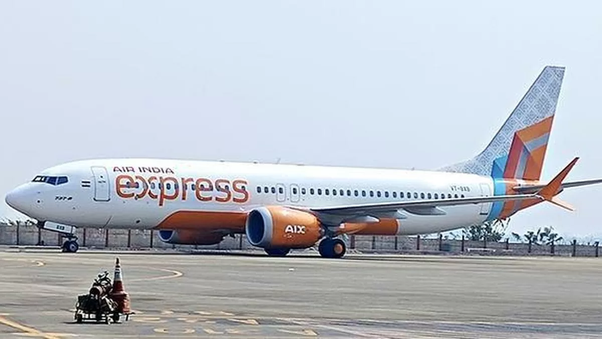 AI Express suspends pilot in assault case, Govt orders probe