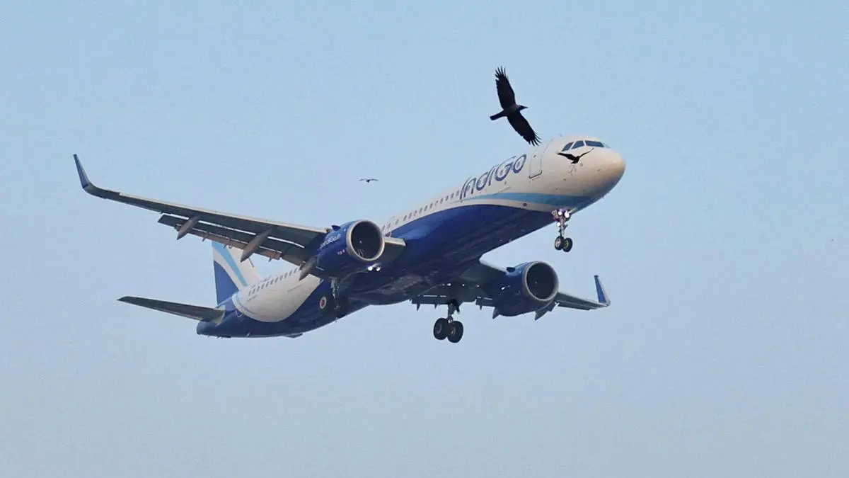 DGCA panel on IndiGo disruption given extension to complete investigation