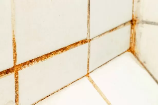 I asked experts the best way to get rid of shower mould - they all said the same thing