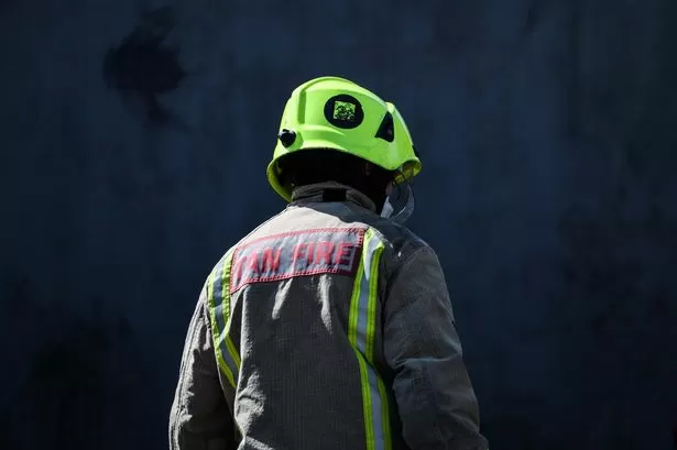 Dog found dead after emergency services called to house fire