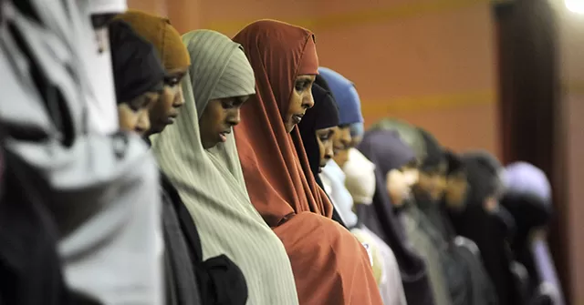 Citizen Journos Expose Potential Somali Fraud in Ohio, Maine, Pennsylvania, Washington State
