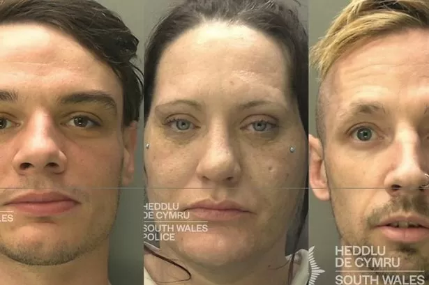 Trio armed with metal poles and walking sticks launched attack on man in his own garden
