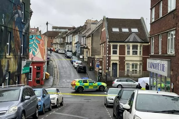 Cyclist dies after 'hit and run' crash