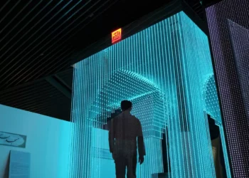 “Beyond Numbers: The True Essence of Economics”