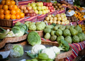 “Discovering the Hidden Gem of Salud, Mexico”