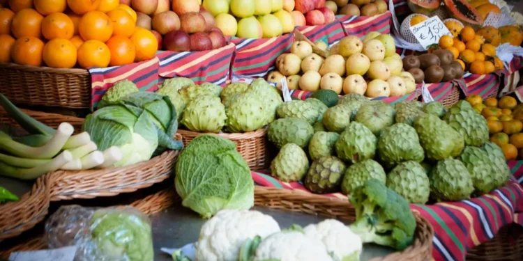 “Discovering the Hidden Gem of Salud, Mexico”