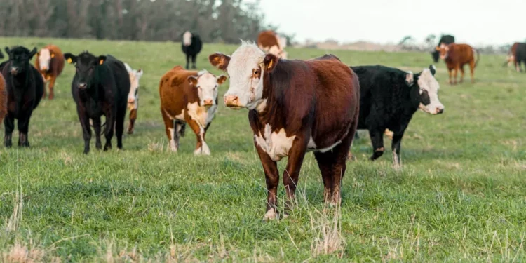 “Exploring the Positive Side of : Lessons and Benefits”