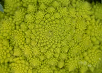 “Transforming Lives: The Impact of Salud Francisco Lino Ramirez Arteaga Caracas”