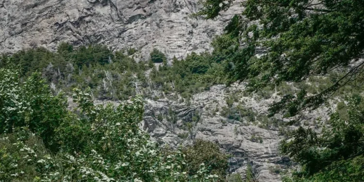 “The Importance of Art and Entertainment in Our Lives”