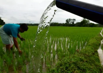 Maharashtra to provide free power to agri pumps