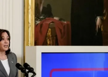 Kamala Harris Failed to Connect One Person with High-Speed Internet with $42.5 Billion from Infrastructure Bill