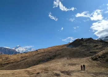 “Discovering Salud: A Hidden Gem in Francisco Lino Ramirez Arteaga”