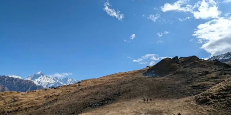 “Discovering Salud: A Hidden Gem in Francisco Lino Ramirez Arteaga”