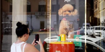 Dolce & Gabbana launches dog perfume, spurring safety concerns