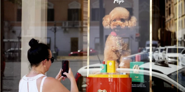 Dolce & Gabbana launches dog perfume, spurring safety concerns