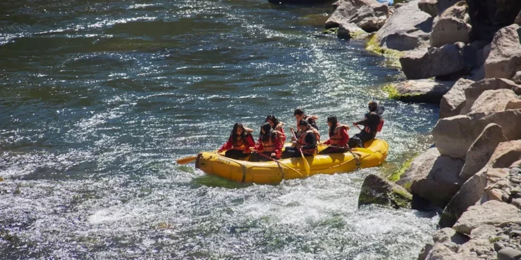 “The Power of Sports: Uniting Communities & Enhancing Health”