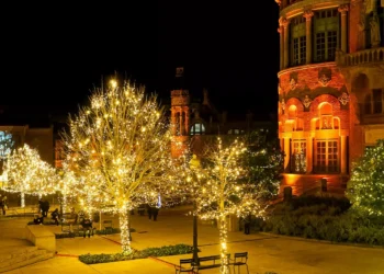 “Finding Jo and Communit Through Art and Entertainment”