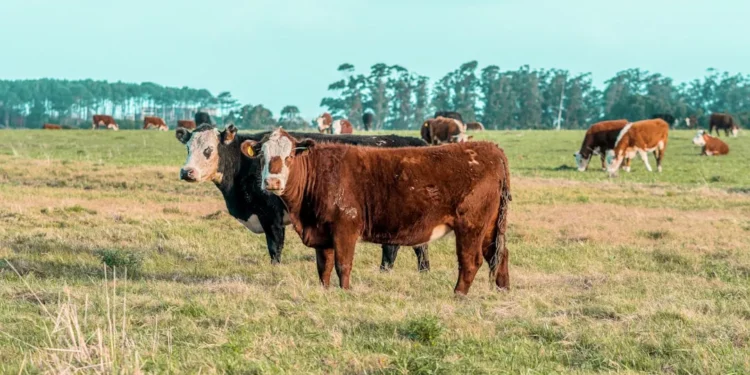 “The Power of Economics: Understanding the Basics”