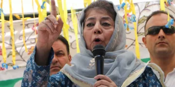 PDP faces existential crisis, future hinges on poll results