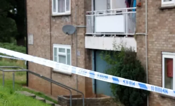 Man charged after Cardiff stabbing incident