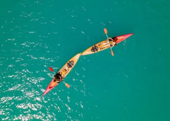 “The Enduring Impact of Sports on Human Culture”