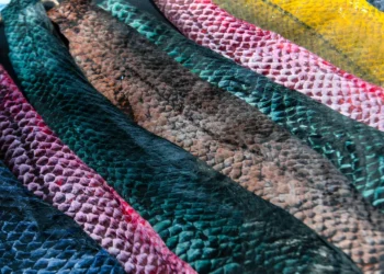 Costa Rican women flip fish skins into sustainable style