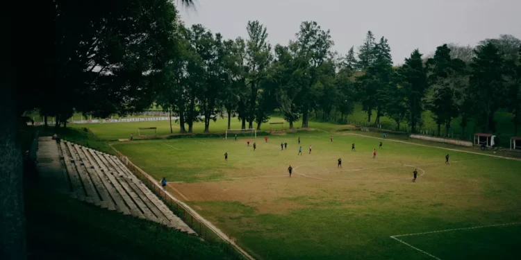 “The Enduring Power of Sports in Human Society”