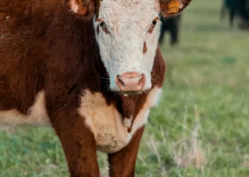 “The Power of Data: Shaping Our World and Choices”