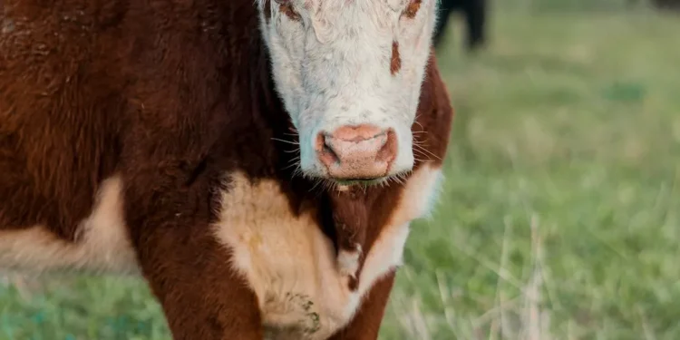 “The Power of Data: Shaping Our World and Choices”