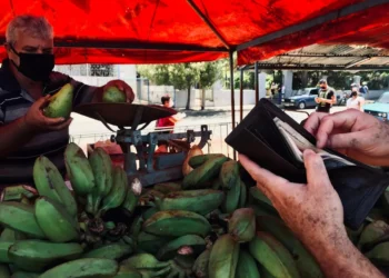 “The Importance of Economía: A Daily Essential”