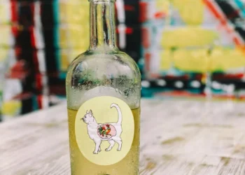 “Discovering the Enchanting Charm of Salud, Mexico”