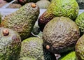 Anyone buying avocados in a supermarket has been warned over telltale signs