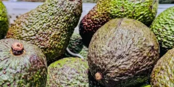 Anyone buying avocados in a supermarket has been warned over telltale signs