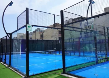 “The Enduring Impact of Sports Throughout History”