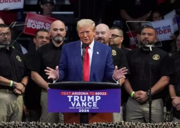 2024 Presidential elections: How America voted