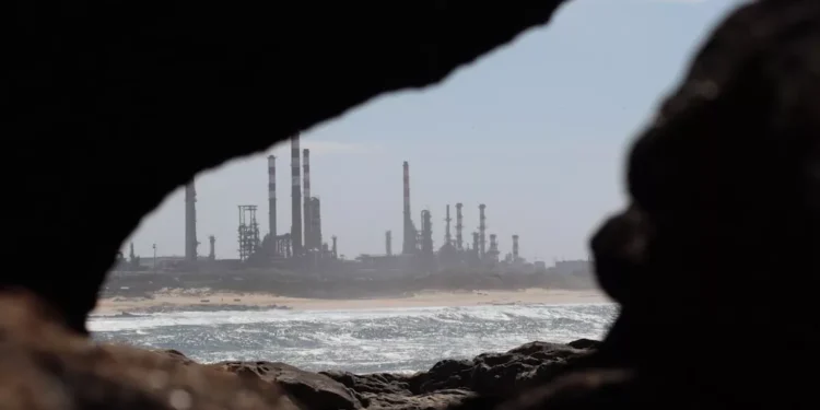 “El : The Backbone of Society”