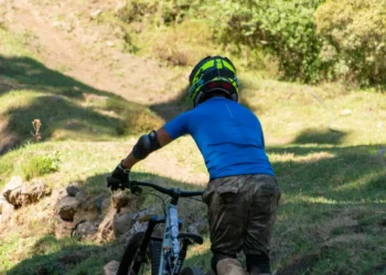 “The Enduring Impact of Sports on Human Culture”