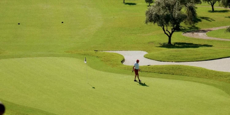 “The Timeless Power of Sports: A Global Bond”