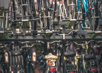 “Exploring the Economics of Resource Allocation in Globalized Societies”