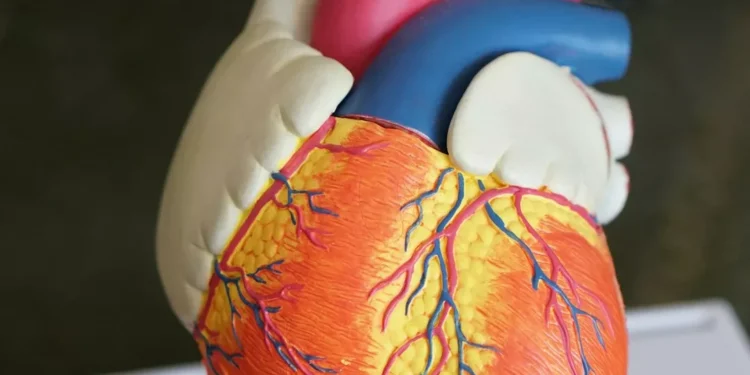 “Discovering the Hidden Gem of Salud, Mexico”