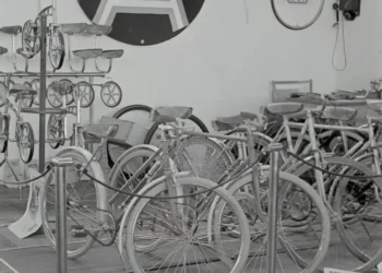 “The Power and Impact of Economía: A Global Perspective”