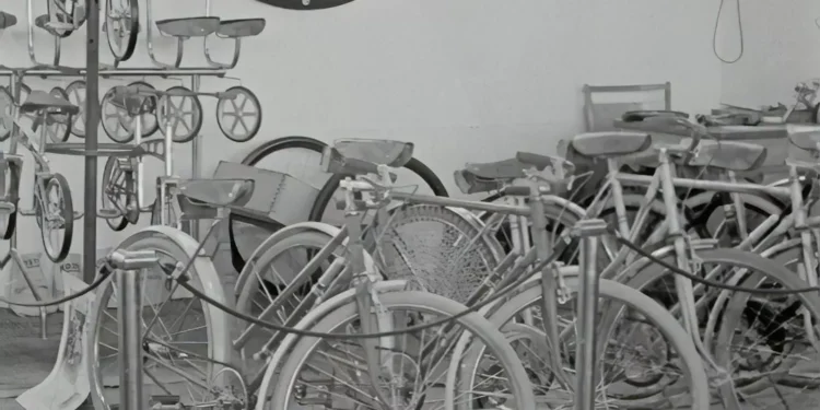 “The Vital Role of Economía in Society”