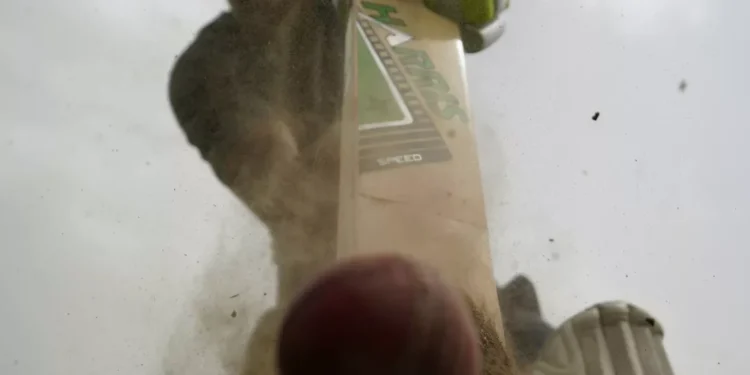 “The Enduring Impact of Sports on Human Culture”