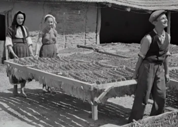 “The Importance of Economía: From Personal Finances to Global Markets”