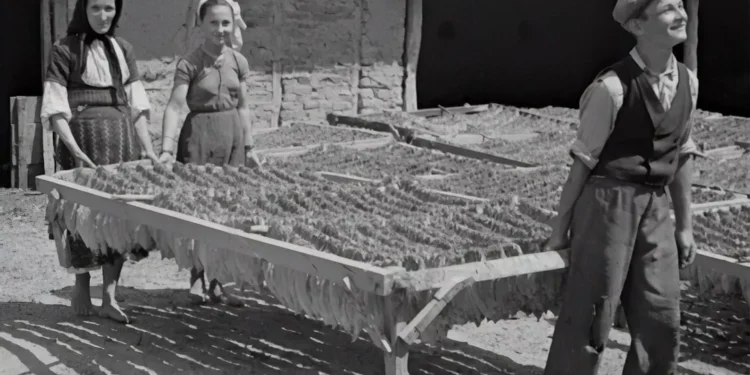 “The Importance of Economía: From Personal Finances to Global Markets”