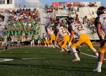 “Deportes: The Universal Language of Joy and Excitement”