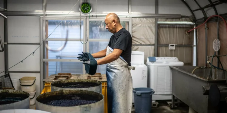Crafting tradition: Japanese jeans made with indigo, vintage looms
