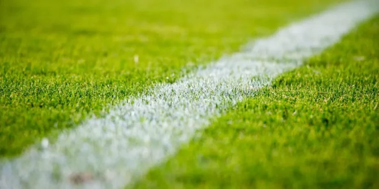 “Deporte: The Global Uniting Language of Sports”