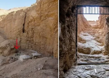 First Egyptian pharaoh’s tomb discovered since King Tut’s