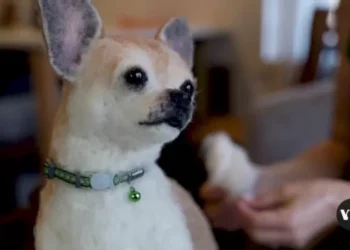 Hyperrealistic woolen dogs of Linda Facci 